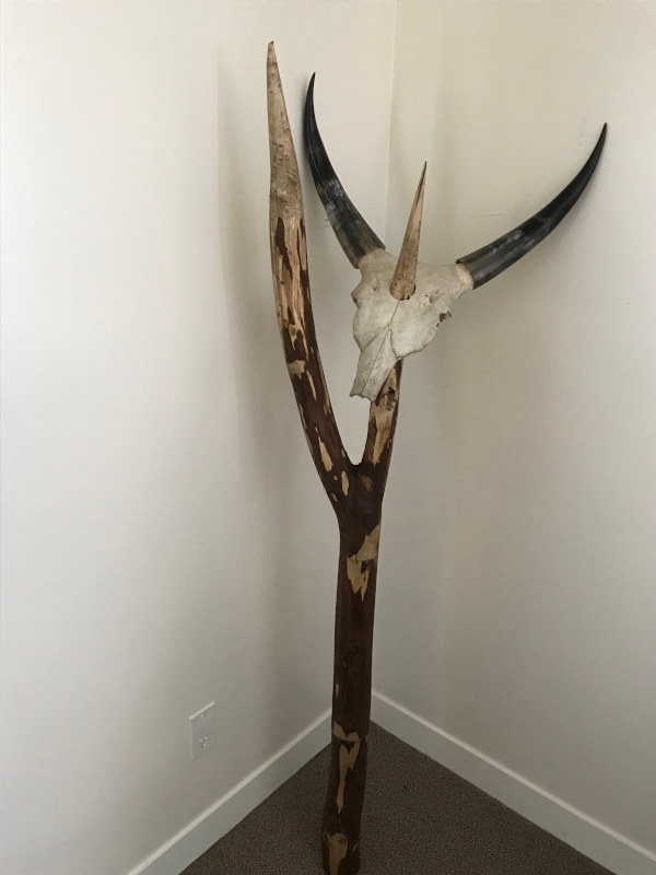 Jôro - Fisokina - zebu altar