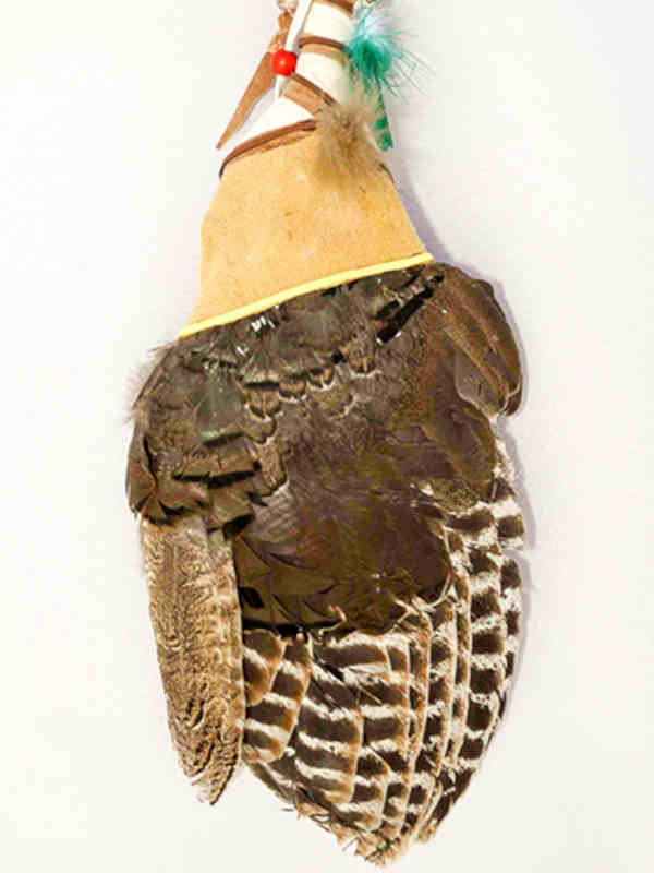 Feather used for smoke smudging